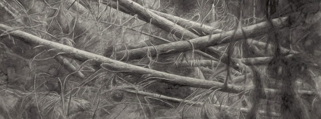 Alexandra Kontriner's Zeichnung "Wald"