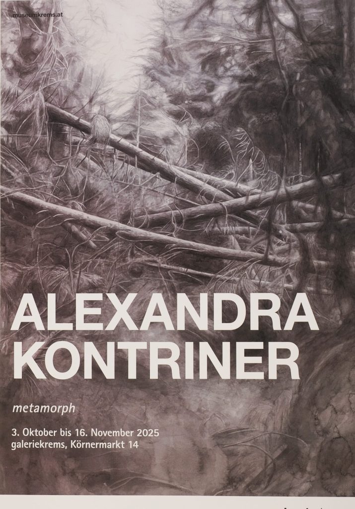 Plakat der im Preis der Stadt Krems enthaltenen Einzelausstellung in der galeriekrems. | Foto © Franz Karl